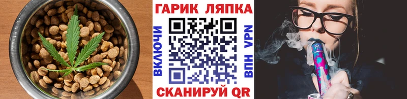 Cannafood конопля  Купить закладки  Межгорье 