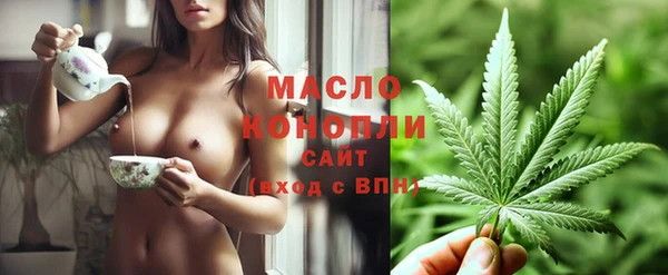 дживик Горняк