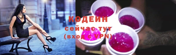 дживик Горняк