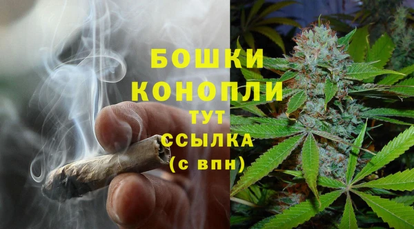 дживик Горняк