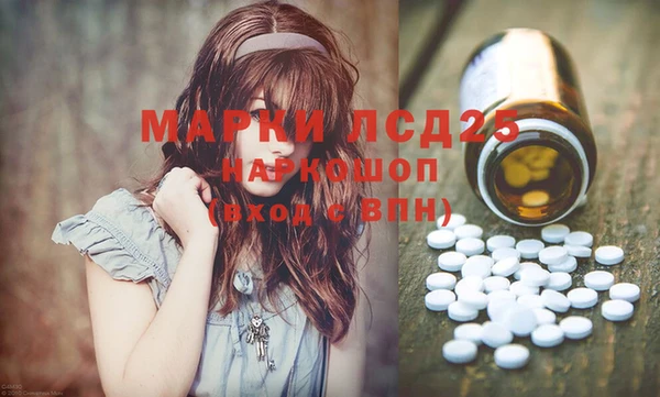 дживик Горняк