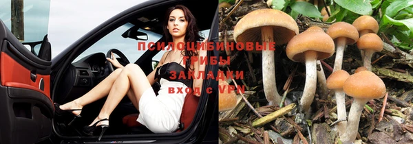 хмурый Горнозаводск