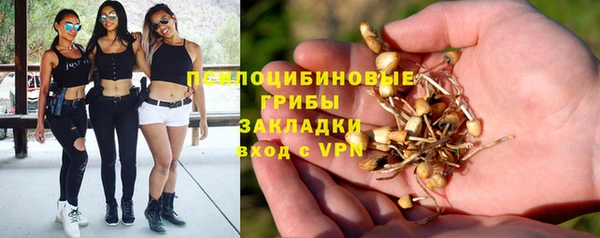 хмурый Горнозаводск