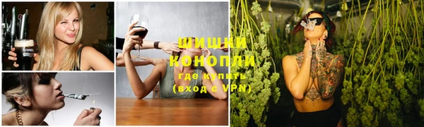 дживик Горняк