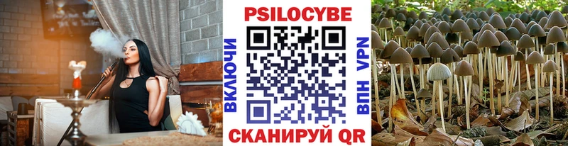 Купить Межгорье Псилоцибиновые грибы мицелий